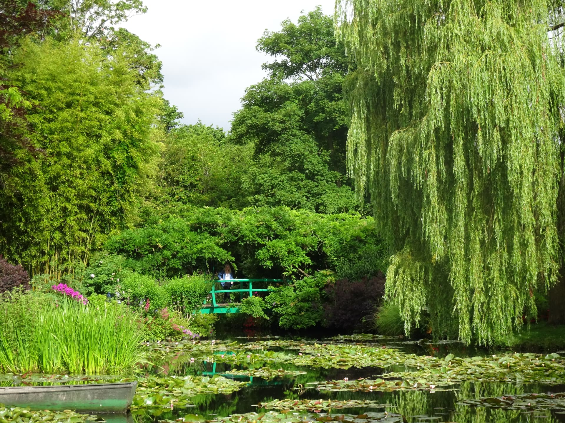 Weeping willows and the Japanese bridge from the water's edge