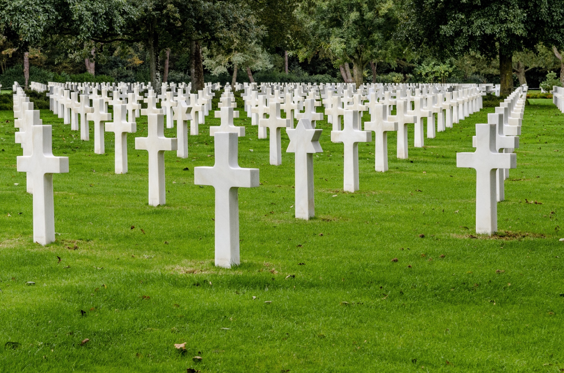 Rows of graves in the American Cemetery