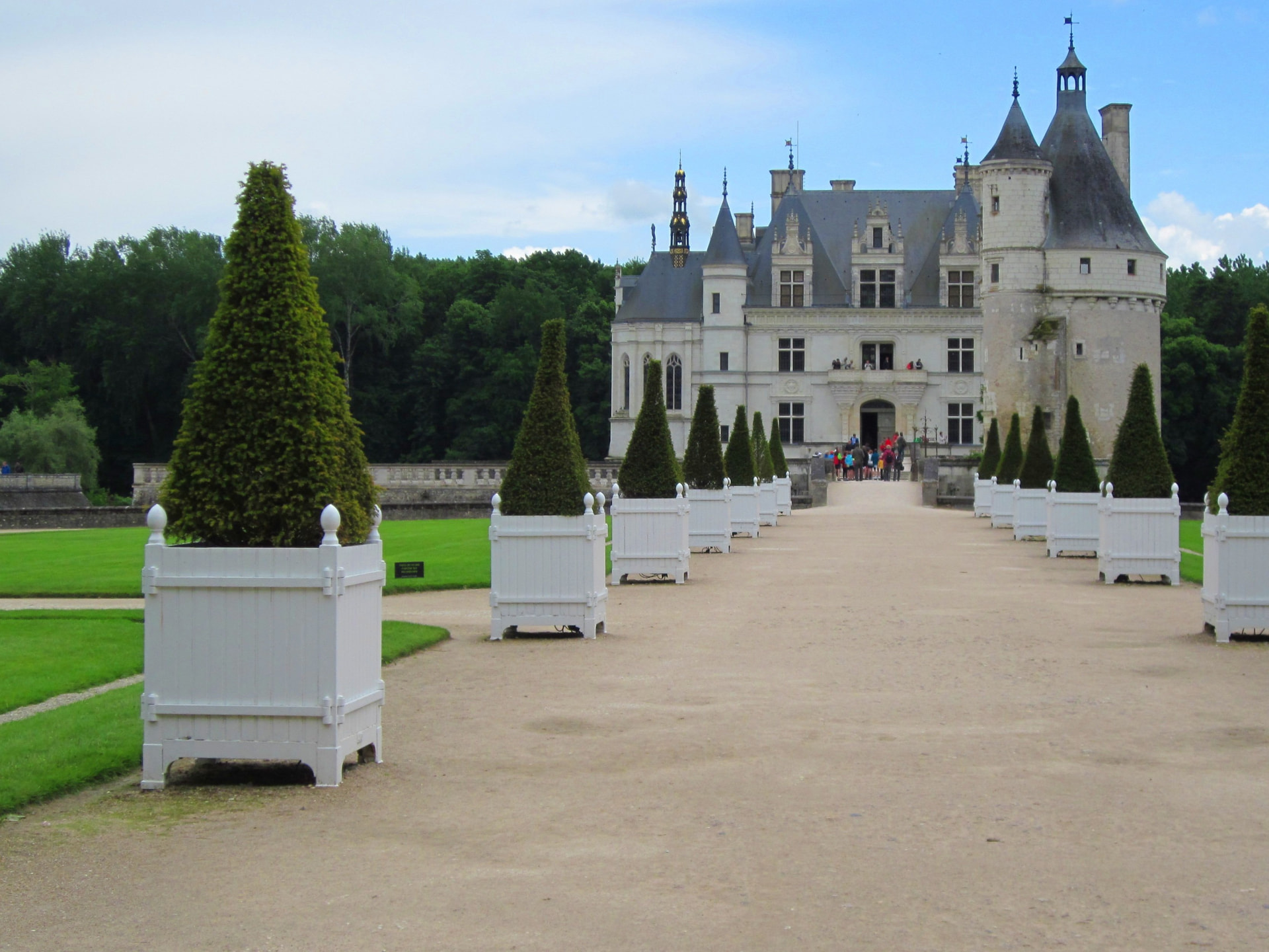The tree-lined approach to Chenonceau